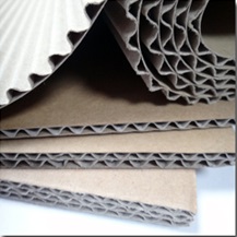 Corrugated Board/Carton Box
